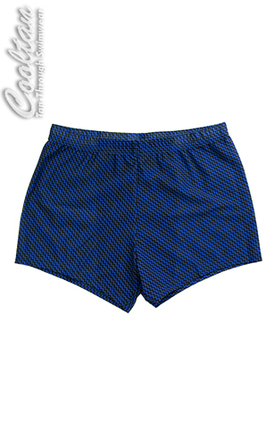 Tanthrough swimwear hipsters Blue Zag